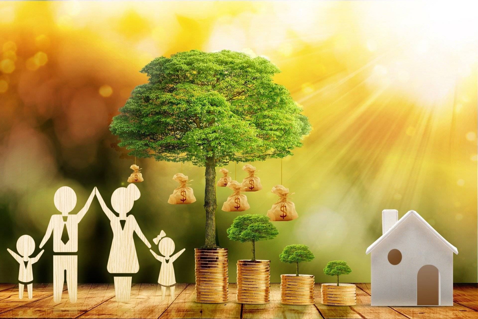 Basics of a Family Budget: How to Agree on Finances with Loved Ones